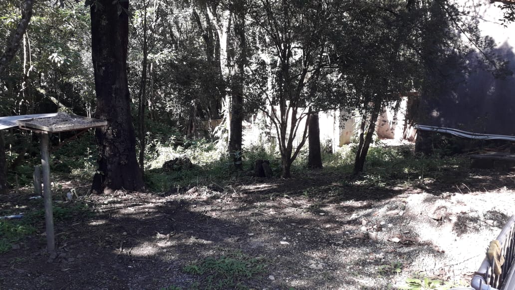 Terreno/Área à venda em Ecoville, Curitiba — Imobiliária Razão